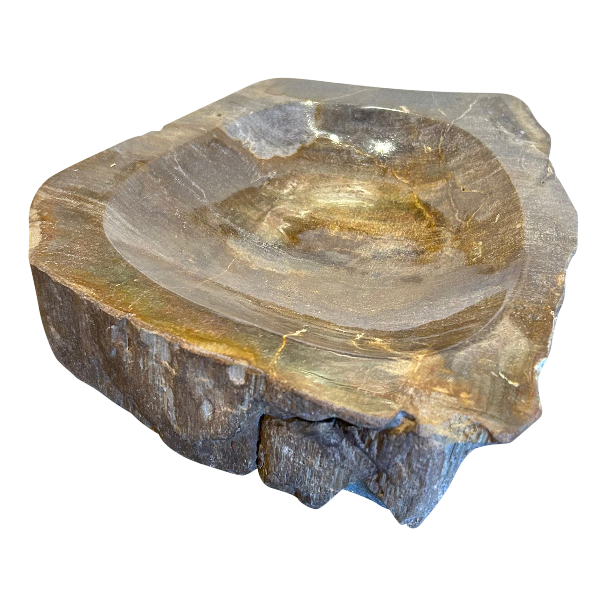 IMG_6380.png?v=1737142907