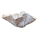 Large White Reef Open Vessel by April Johnston