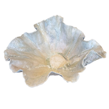 Large White Reef Open Vessel by April Johnston