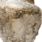 Woodland Vase by April Johnston