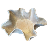 Reef Open Vessel in Soft Tones by April Johnston