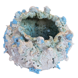 Fragments of a Sea Moon Jar by Natalya Seva