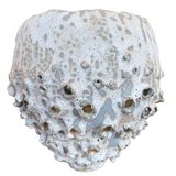 Tidal Relic Vessel by Natalya Seva