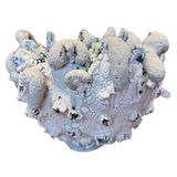 Salt Flower of the Moon by Natalya Seva