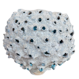 Lunar Coral Vessel by Natalya Seva