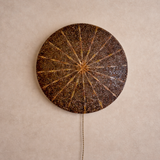 Rare Shell Wall Mounted Light Fixture