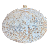 Lunar Pod I by Natalya Seva