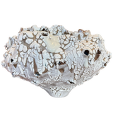 Moon Coral Bloom by Natalya Seva