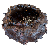 Obsidian Bloom by Natalya Seva