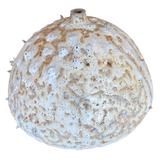 Lunar Pod II by Natalya Seva