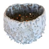 Tidal Relic Vessel by Natalya Seva