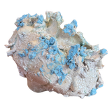 Fragments of a Sea Moon Jar by Natalya Seva