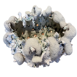 Salt Flower of the Moon by Natalya Seva