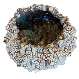 Lava Bloom Vessel by Natalya Seva