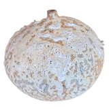 Lunar Pod I by Natalya Seva