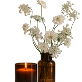 The Quiet Botanist - In The Weeds Candle