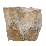 Reef Series Open Vessel by April Johnston