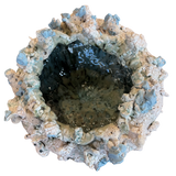 Fragments of a Sea Moon Jar by Natalya Seva