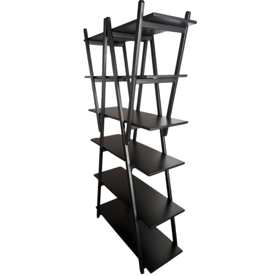 Ebony 'Nuvola Rossa' Bookcase by Vico Magistretti for Cassina