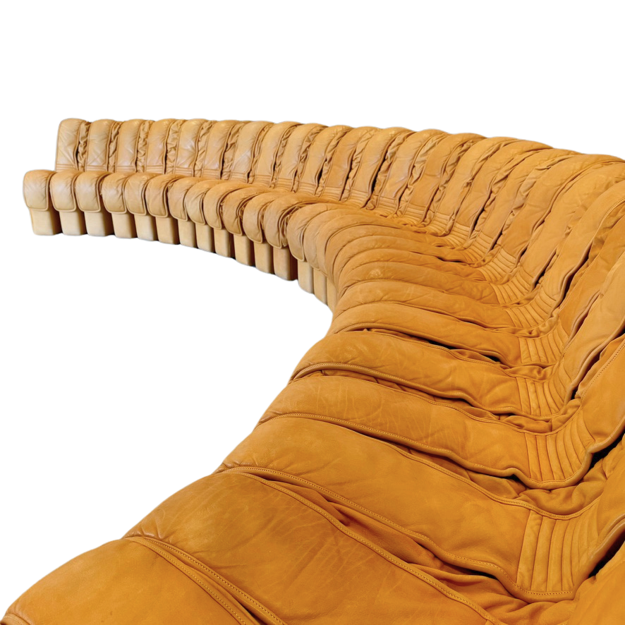 Vintage 1970s De Sede DS600 Nonstop 'Snake' Sectional Sofa