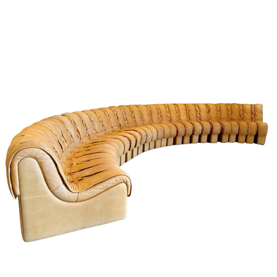 Vintage 1970s De Sede DS600 Nonstop 'Snake' Sectional Sofa