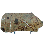 Vintage Orthoceras Limestone Iron Base End Table