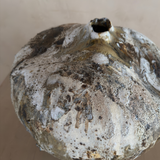 Woodland Organic Moon Pod II