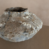 Small Orbicella Low Vessel