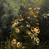 The Quiet Botanist - Garden Stories Candle
