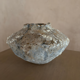 Small Orbicella Low Vessel