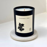 Wilkin & May - Carmelina Candle
