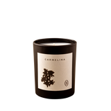 Wilkin & May - Carmelina Candle