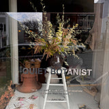 The Quiet Botanist - 426 Candle - The Scent of our Store.