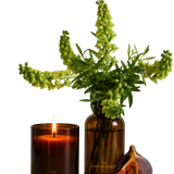 The Quiet Botanist - Garden Stories Candle