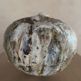 Woodland Organic Moon Pod II