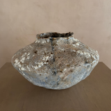 Small Orbicella Low Vessel