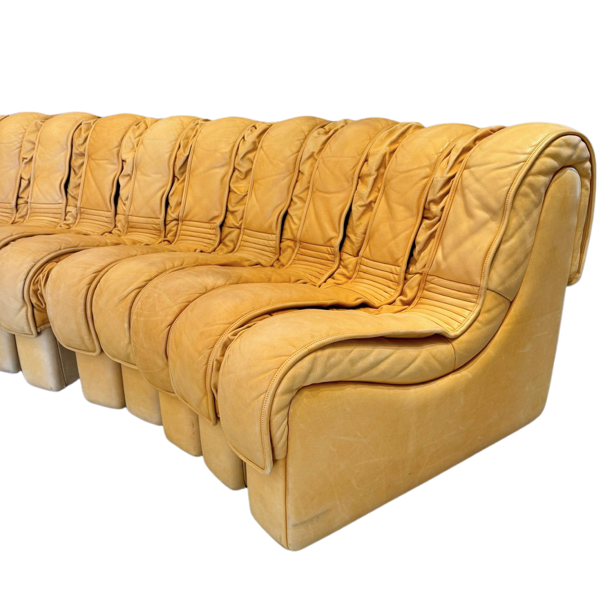 Vintage 1970s De Sede DS600 Nonstop 'Snake' Sectional Sofa