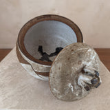 Studio Ceramic Lidded Vessel with Geometric Accent
