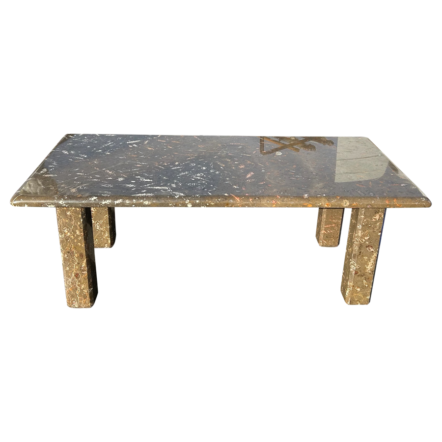 Orthoceras Fossil Limestone Coffee Table