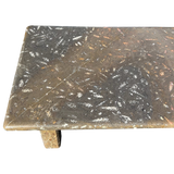 Orthoceras Fossil Limestone Coffee Table