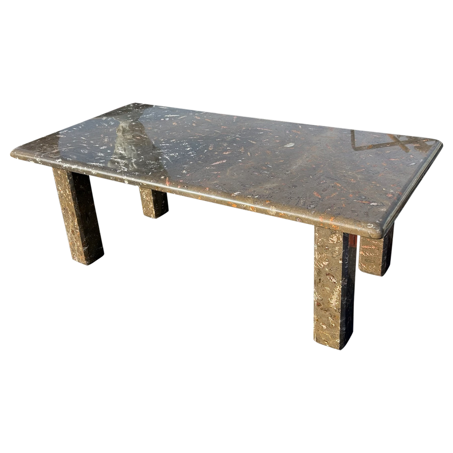 Orthoceras Fossil Limestone Coffee Table