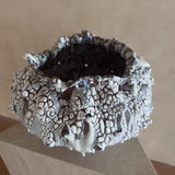 Lava Bloom Vessel by Natalya Seva