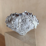 Lava Bloom Vessel by Natalya Seva