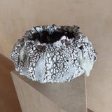 Lava Bloom Vessel by Natalya Seva