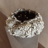 Moon Coral Bloom by Natalya Seva