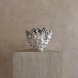Salt Flower of the Moon by Natalya Seva