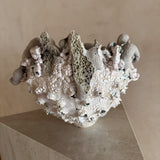 Salt Flower of the Moon by Natalya Seva