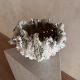 Salt Flower of the Moon by Natalya Seva