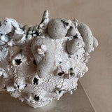 Salt Flower of the Moon by Natalya Seva