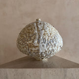 Lunar Pod II by Natalya Seva